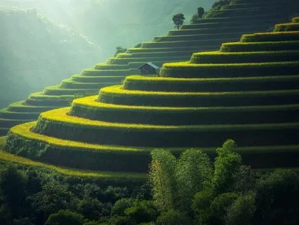 Harmonic Healing: Soothing Frequencies For Inner Peace