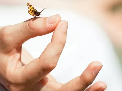 Harmonic Healing Vibrations For Body, Mind, Heart & Soul