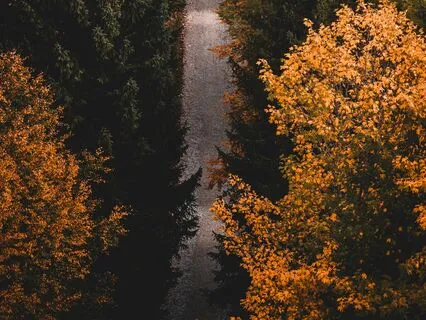 Harmonic Insight - Solfeggio 174Hz Meditation