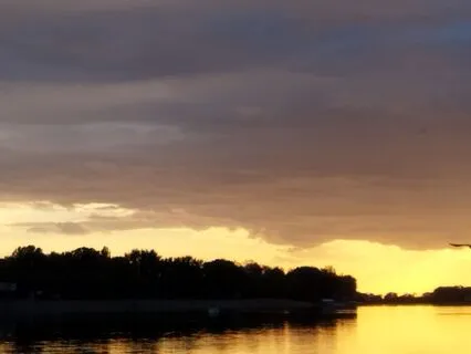 Harmonic Nervous System Reset (3D Sound Therapy + Theta)