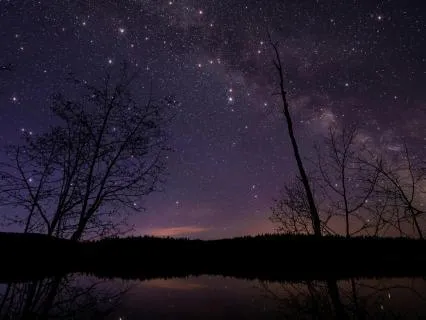 Harmonic Serenity: Ambient Music & Binaural Beats for Sleep