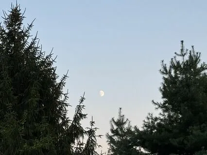 Harmonic Vocals For Serenity And Calm