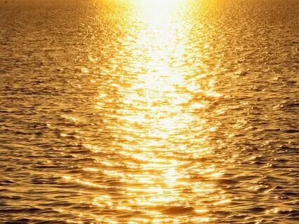 Harmonic Waves: A Journey To Calm And Focus