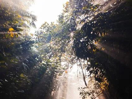 Harmonious Bonds - Relationship Rhapsody