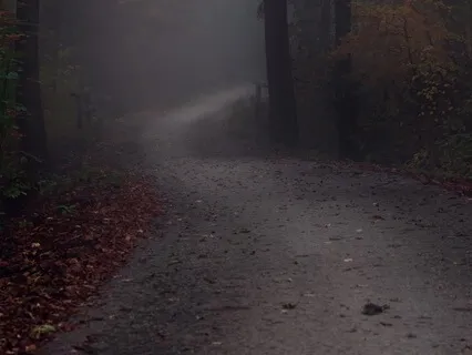 Harmonious Breath Of Serenity: Focus Meditation