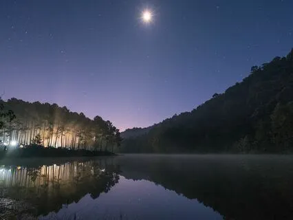 Harmonious Night: Sleep And Let Go