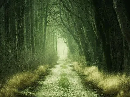 Harmonious Peace Music For Relaxing