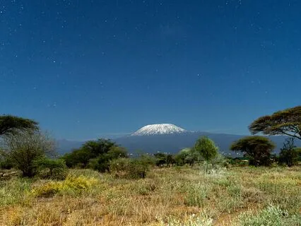 Harmonious Peace: Stress-Free Serenity