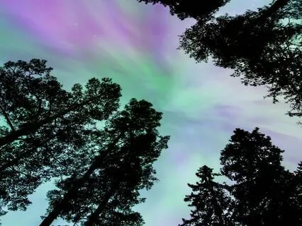 Harmonious Sleep & Healing Frequencies