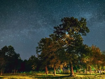 Harmonious Sleep: Music For Stress-Free Nights