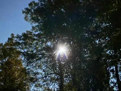 Harmonious Vocals For Tranquil Meditation