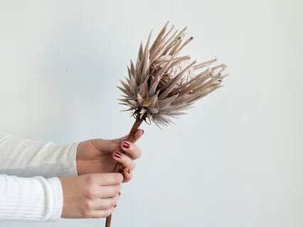 Harmonise Your Vibration