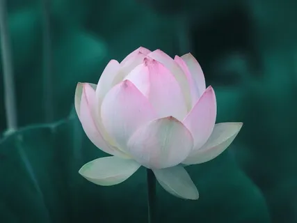 Harmonising The Yin & Yang In Your Business