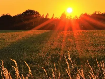 Harmonising With Mother Earth (Meditation)