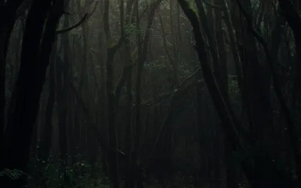 Harmonize Body, Mind And Soul (639Hz)