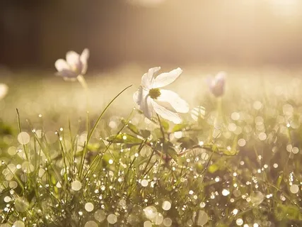 Harmonize Frazzled Nerves And Reactive Nature