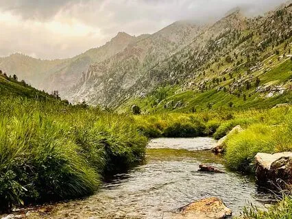 Harmonize Your Flow: Anxiety Alchemy