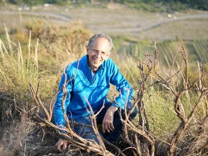 Harmonizing Brain Energy Through Meditation