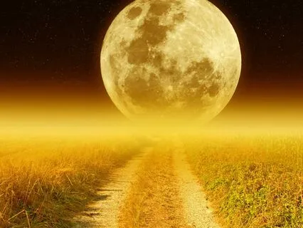 Harmonizing Light Energies: Soundjourney With Light Language