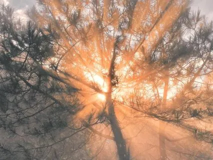 Harmonizing Meditation Infused With Divine Energies