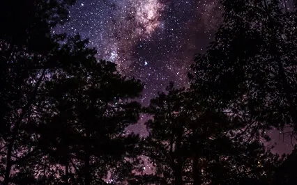 Harmonizing Sleep, Absorb Cosmic Energy