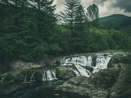 Harmonizing The Mind: Understanding Brain Chemicals