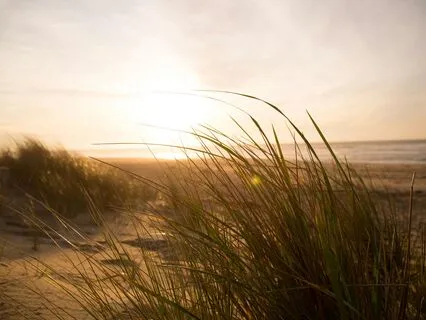 Harmonizing With Sound