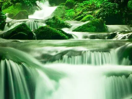 Harmonizing Your Energy - Intention Setting Affirmations