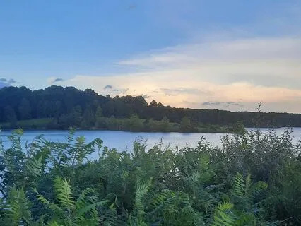 Harmony - A Poem About Flowing With Life