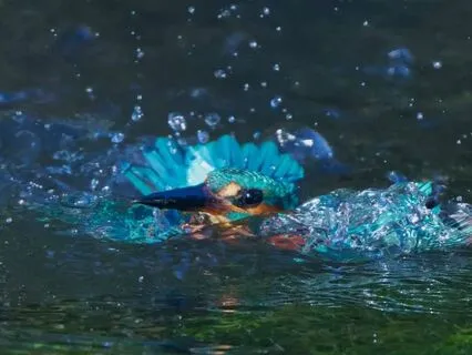 Harmony. African Harp And Sound Journey