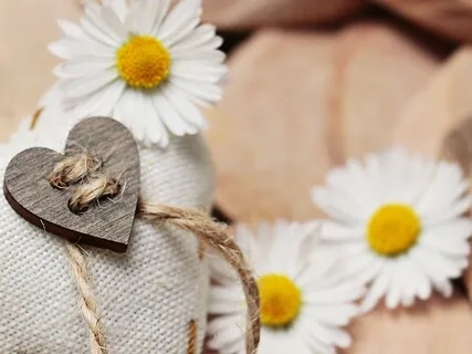 Harmony & Balance (Piano Instrumental)