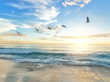 Harmony & Peace - Healing Piano Music & Nature Sounds