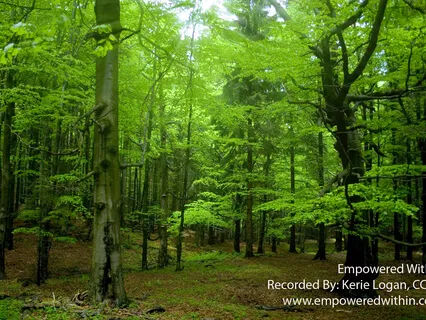 Harmony and Strength