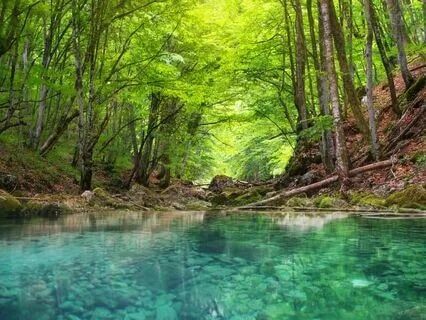 Harmony Haven: Crush Stress & Anxiety