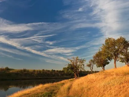 Harmony Haven: Find Stress-Free Serenity