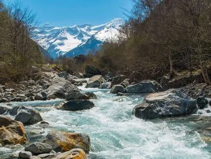 Harmony In Family: 9Hz Alpha For Peaceful Connection