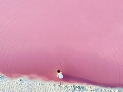 Harmony In Relationships