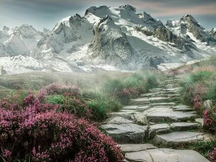 Harmony Of Light: Frequencies For Stress Relief And Clarity