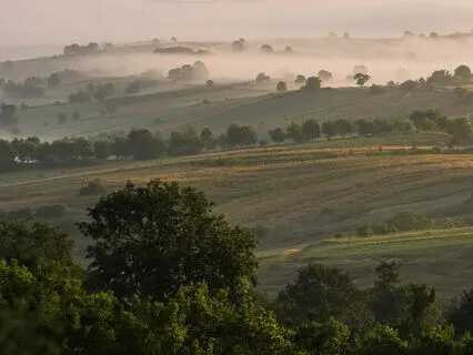 Harmony Of Origins - Echoes Through Time