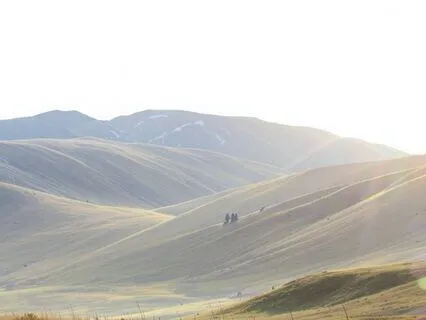 Harmony Of The Heart