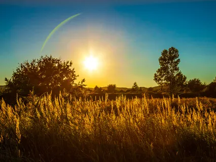 Harmony Of The Human Being