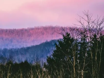 Harmony Relaxing Yoga Nidra For Daytime