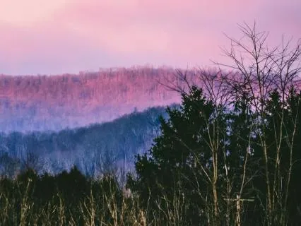 Harmony Relaxing Yoga Nidra W/ Sleep Prompt