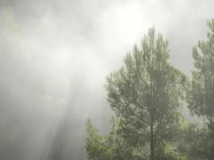 Harmony’s Awakening