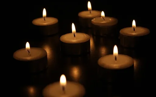 Harmony - The Fruit Of Meditation