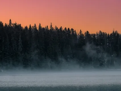 Harmony Through Conflict