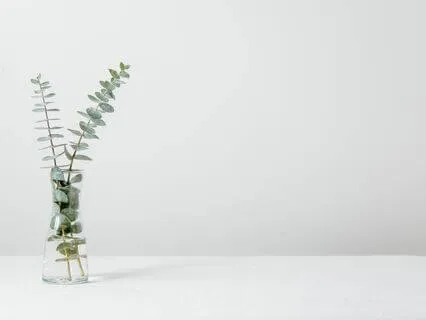 Harmony Within: Guided Meditation to Ease a Restless Mind