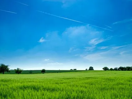 Harmony Within: Let Tension Fade