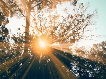 Harmony Within For Deep Relaxation