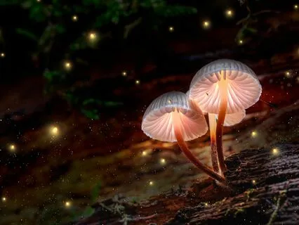 Harness Tesla's 369 Secret With Tuning Forks While You Sleep